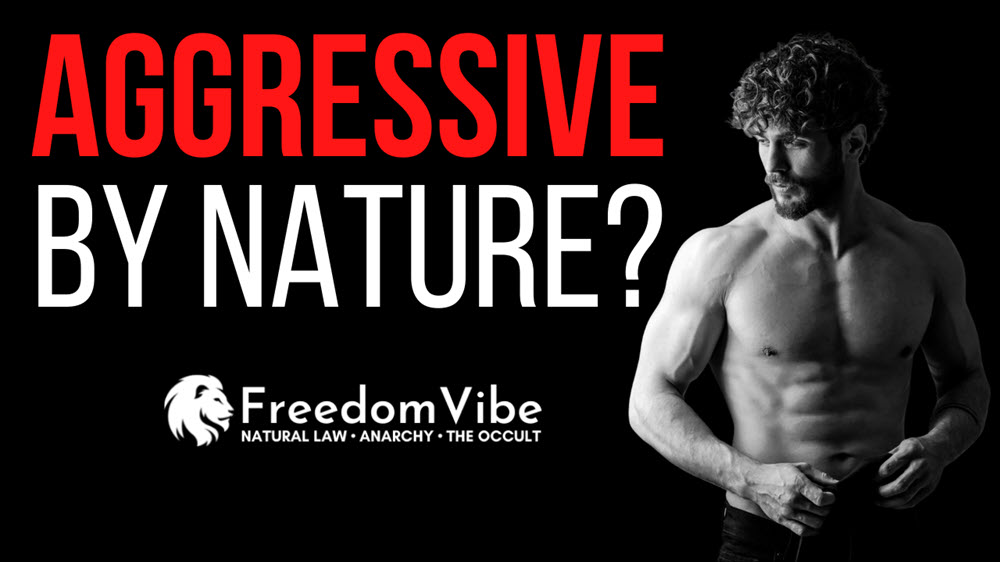 Is Aggression A Masculine Trait - FreedomVibe.art