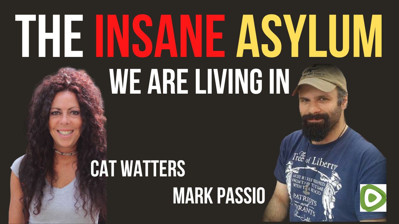 The Insane Asylum We Are Living In - Cat Watters Interviewing Mark Passio - FreedomVibe.art